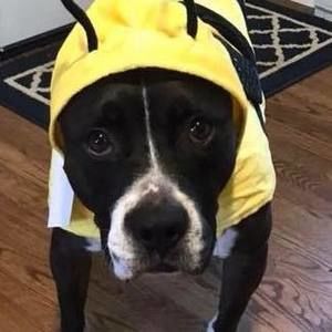 Meet your Posher, Elsbeth